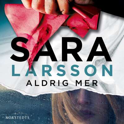 Aldrig mer - Sara Larsson.