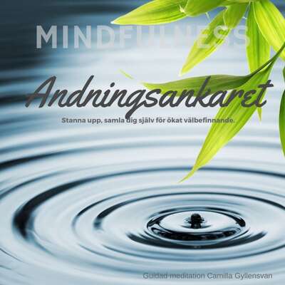 Andningsankaret - Camilla Gyllensvan.