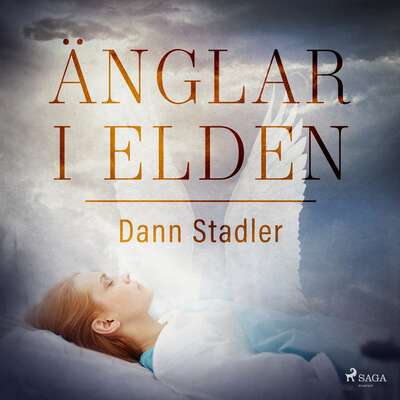 Änglar i elden - Dann Stadler.