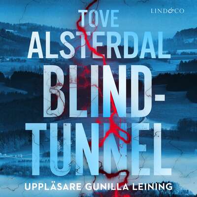 Blindtunnel - Tove Alsterdal.