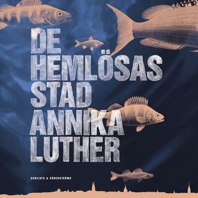 De hemlösas stad - Annika Luther.