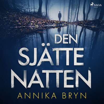 Den sjätte natten - Annika Bryn.