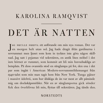 Det är natten : författaren och den som skriver