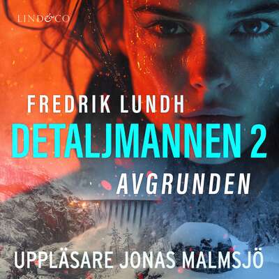 Detaljmannen 2: Avgrunden - Fredrik Lundh.
