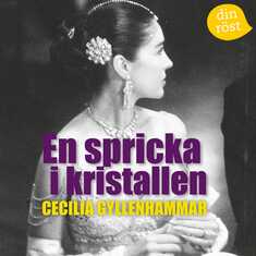 En spricka i kristallen