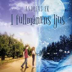 I fullmånens ljus