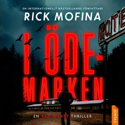I ödemarken - Rick Mofina.