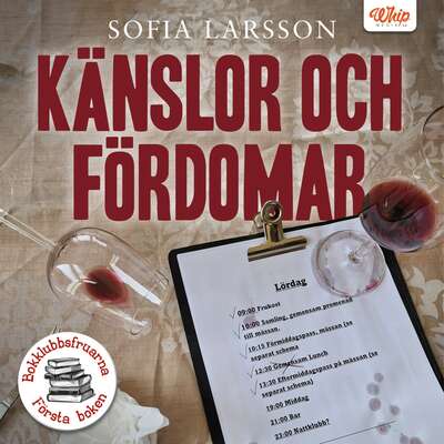 Känslor och fördomar - Sofia Larsson.