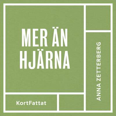 Mer än hjärna! : Jobba smart och må bra