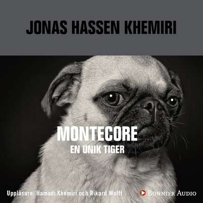 Montecore - Jonas Hassen Khemiri.