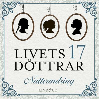 Nattvandring: En släkthistoria - May Grethe Lerum.