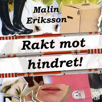 Rakt mot hindret - Malin Eriksson Sjögärd.