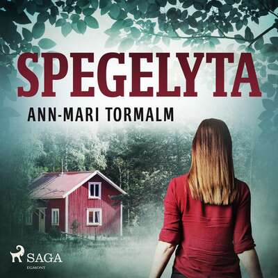 Spegelyta - Ann-Mari Tormalm.
