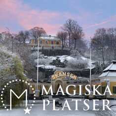 Sveriges mest besökta utomhusmuseum. Djurgårdsslätten 49-51.